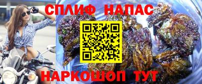 соль ск Славгород