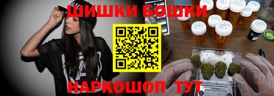 соль ск Славгород