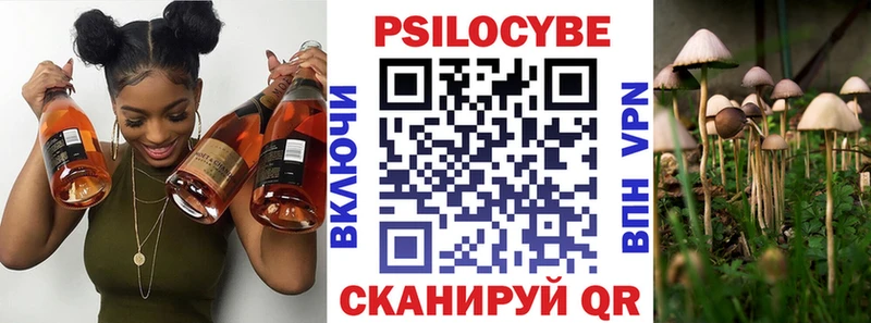 Псилоцибиновые грибы Psilocybe  Череповец 