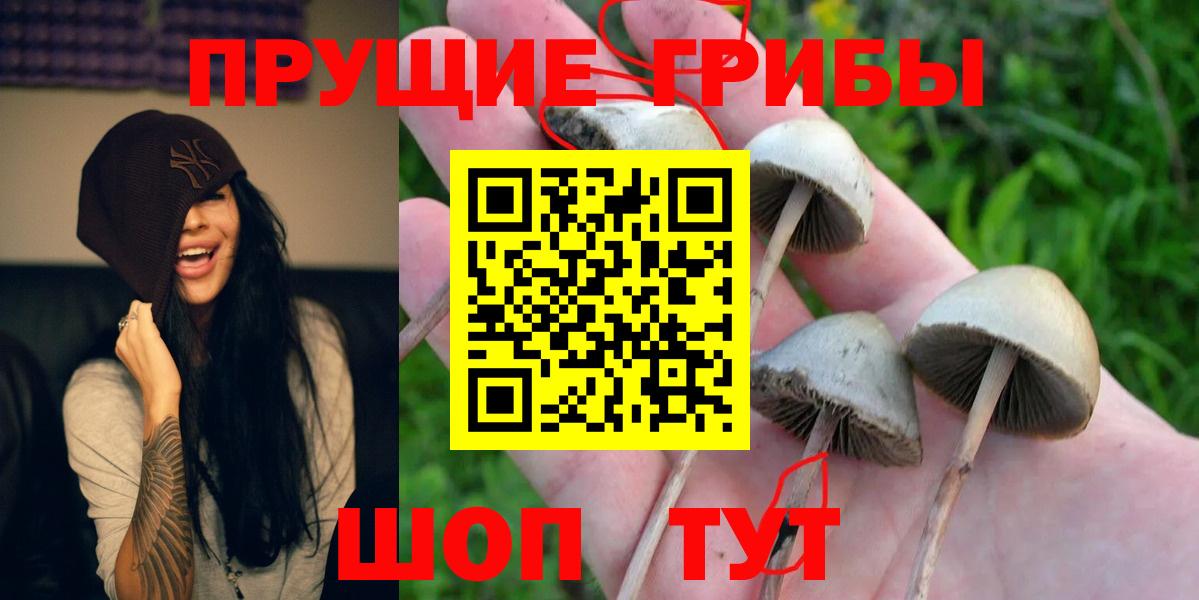 Галлюциногенные грибы прущие грибы  Вход с VPN  Галлюциногенные грибы Cubensis  Череповец 